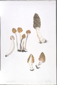 The Mushroom book. Page 1